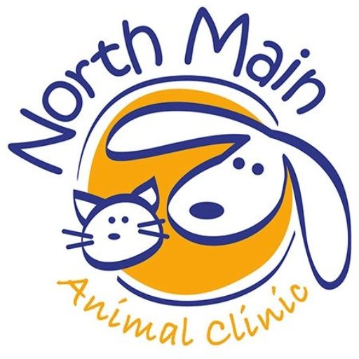Best Vet In Dayton, OH 45415 ​ | North Main Animal Clinic