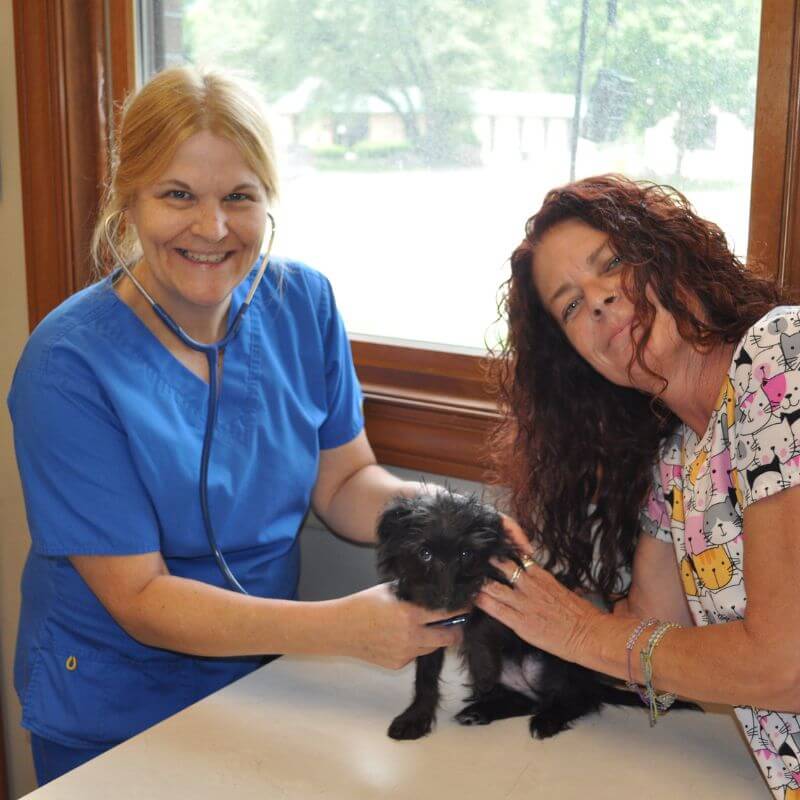 Dayton, OH 45415 Veterinarians | North Main Animal Clinic